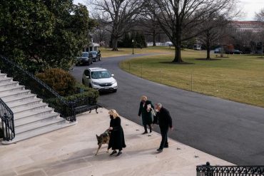 ¡VEA! Así fue la mudanza a la Casa Blanca de Major y Champ, los perros de Biden (+Imágenes)