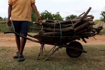 ¡EL LADO MORTAL DE LA CRISIS! Un adolescente murió de forma trágica mientras buscaba leña para cocinar por falta de gas doméstico (+Detalles)