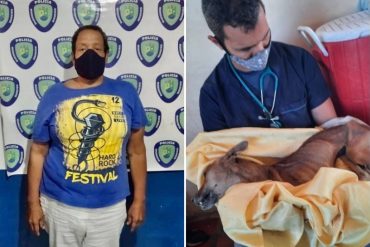 ¡ENTÉRESE! La multa que tendría que pagar el “Coconazo” tras ser imputado por maltrato animal