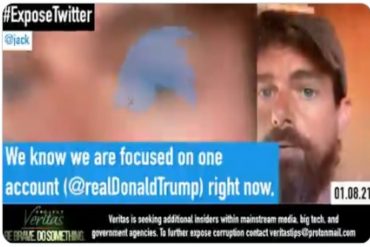 ¡EXPLOSIVO! «Va a ser más grande que una sola cuenta»: Difunden video en el que el CEO de Twitter explica sus planes de «censura» en escalas contra cuentas de Trump y sus seguidores radicales