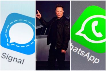 ¡LO DIJO! «Usen Signal»: El consejo de Elon Musk por los polémicos nuevos términos y condiciones de WhatsApp