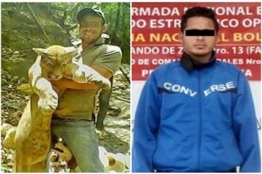 ¡INDIGNANTE! Detenido sujeto que mató a un puma en Falcón y publicó las fotos en redes: será imputado por caza ilícita e instigación para delinquir