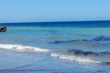 Cierran temporalmente una playa por presencia de hidrocarburos en el estado Anzoátegui