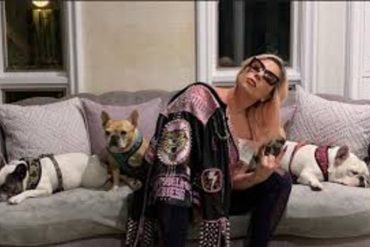 ¡ATROZ! Nuevo video de vigilancia capta el momento en que fue brutalmente atacado el paseador de los perros de Lady Gaga (+Video fuerte)