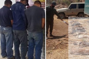 ¡DE TERROR! Detuvieron al gerente de una empresa en Guárico y a varios de sus trabajadores por matanza masiva de perros