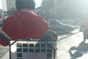 ¡DETALLES! Detuvieron a señor a quien señalaron en redes por “caza ilícita de aves” cuando lo que hizo realmente fue auxiliar a una guacamaya (fue liberado posteriormente)