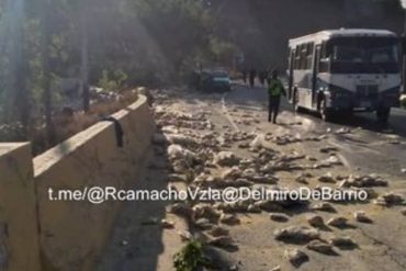 ¡LAMENTABLE! Dos fallecidos al caer camión cargado de harina a viaducto de la autopista Caracas-La Guaira (+Fotos)