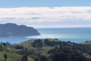 ¡MIRE! Se registran las primeras olas de tsunami en la zona norte de Nueva Zelanda (+Videos)