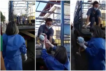 ¡QUÉ PELIGRO! Mujer dio a luz en la parte trasera de un camión para el transporte de ganado en Tucupido: aseguran que el hospital “tiene meses cerrado” (+Video)