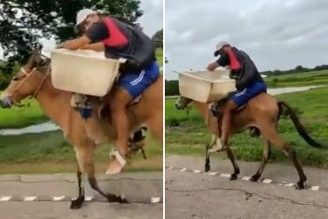 ¡LO QUE FALTABA! Por severa escasez de combustibles productores de queso transportan su mercancía de esta arcaica manera en el estado Apure (+Video)