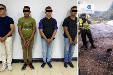 ¡ATROZ! Detuvieron a 4 militares por asesinar a un gato en Los Teques: se grabaron cuando lo lanzaron hacia un barranco y subieron el video en TikTok