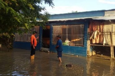 ¡VEA! Lluvias provocan el desbordamiento del río Guanare y afecta al menos a 20 familias de varios sectores del estado Portuguesa (+Fotos)