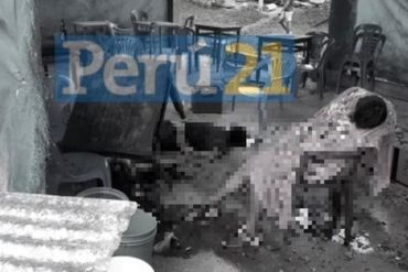 ¡REPUDIABLE! Al menos 18 muertos por atentado terrorista de Sendero Luminoso en selva de Perú: Dejaron panfletos advirtiendo no votar por Keiko Fujimori