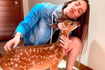 ¡POLÉMICO! La razón por la que «Bambi» fue tendencia en Venezuela: Le cayeron encima a usuaria de Instagram en Maracaibo por tener como mascota a un venado y exhibirlo en sus redes