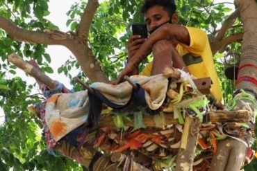 ¡QUÉ FUERTE! La historia de Shiva, el joven de la India que vivió durante 11 días en un árbol para no contagiar a su familia de COVID-19