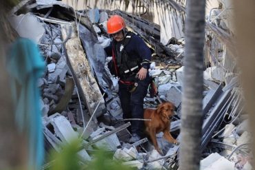 ¡SEPA! Perros rescatistas intentan encontrar sobrevivientes en edificio que colapsó en Miami: “No están apareciendo muchos” (+Fotos)