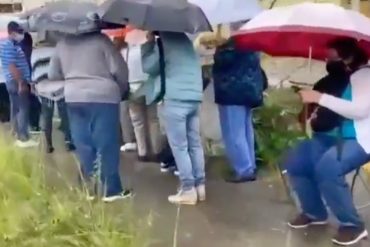 ¡LO MÁS RECIENTE! Bajo la lluvia y desde la madrugada, adultos mayores hacen cola en La Rosaleda para vacunarse contra el covid-19