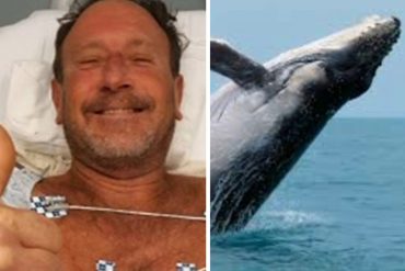 ¡TIPO JONÁS! «Estuve dentro de su boca cerrada durante 30 a 40 segundos»: Una ballena se tragó a un pescador de Massachusetts y luego lo escupió vivo