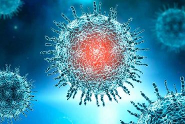 ¡LE CONTAMOS! Científicos descubren un método clave para bloquear infección de coronavirus