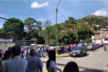 ¡VÉALA! La kilométrica cola para vacunarse contra el COVID-19 en Sefar de Las Adjuntas (sin distanciamiento físico)