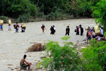 ¡VEA! Venezolanos también cruzan la peligrosa selva de Darién para llegar a Panamá