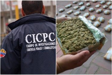 ¡CARAMBA! Detuvieron a funcionario del Cicpc por el tráfico ilícito de marihuana: lo capturaron después de una persecución en Lara