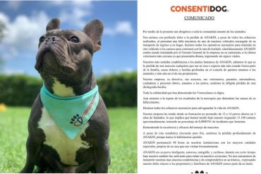 ¡LE CONTAMOS! El comunicado que emitió la empresa Consentidog sobre el caso de Anakin, el perro que murió por presunta negligencia