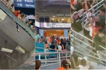 ¡HERÓICO! Un gato sobrevive a una dramática caída gracias a los fanáticos en el Hard Rock Stadium en Miami (+Videos virales)