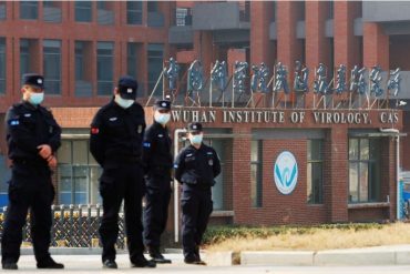 ¡CONTROVERSIAL! Documentos revelan que laboratorio de Wuhan planeaba mejorar los virus de los murciélagos para estudiar los riesgos en humanos (+Detalles explosivos)