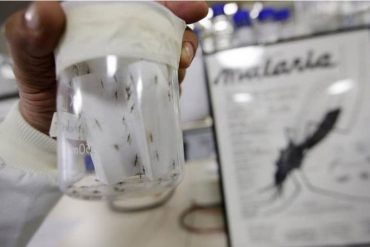 ¡QUÉ FUERTE! Naciones Unidas alertó que en el estado Bolívar se han registrado más de 50.000 casos de malaria en los primeros ocho meses de año