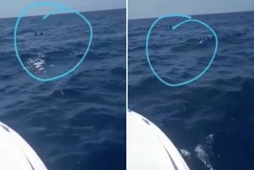¡VEA! Difunden video que muestra el rescate de dos de los náufragos del pesquero «Don Rafa Junior»