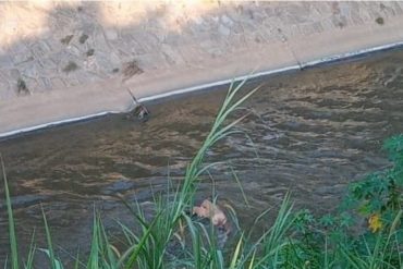 ¡LO MÁS RECIENTE! Hallaron el cuerpo de una mujer en el río Guaire a la altura de Plaza Venezuela en Caracas (+Detalles)