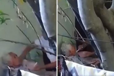 ¡GRAVE! Deleznable hecho en Zulia: detuvieron a la mujer que agredió a su madre de 93 años en silla de ruedas (+Video)