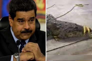 ¡LA BURLA! “Se desbordó el río Neverí y hay decenas de cocodrilos en las calles”: el fake news de Maduro que quedó al descubierto (+Detalles)