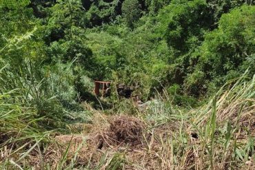 ¡LAMENTABLE! Chofer perdió el control y cayó por una barranco en la carretera Los Caracas-Osma