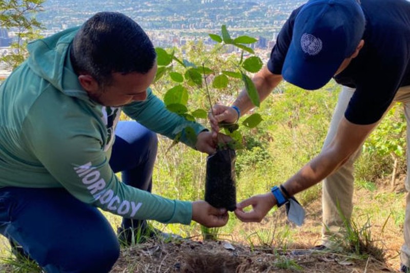 SEPA La ONU En Venezuela Inaugur El Bosque De Las Naciones Unidas En   BOSQUE DE LAS NACIONES UNIDAS 750x375 1 