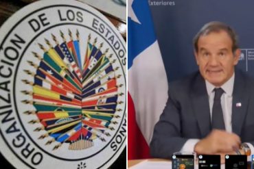 ¡SIN TITUBEOS! Chile señaló en la OEA que «no son aceptables los regímenes dictatoriales» en la región (+Video)