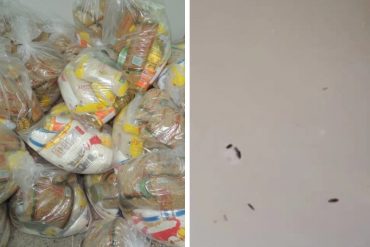 ¡QUÉ ASCO! Habitantes de Mérida denuncian que el arroz de las bolsas CLAP llegó con gusanos: “Lo fui a preparar y me di cuenta que le salían animalitos” (+Foto)