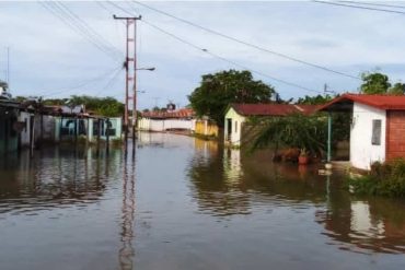 ¡ALARMANTE! “Casas rajadas, carreteras agrietadas, aparición de serpientes y alacranes”: comunidades de Zulia están inundadas por desborde de ríos (+Video)