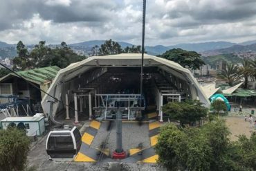 ¡DE INTERÉS! Teleférico El Ávila evalúa la posibilidad de permitir el ingreso de mascotas