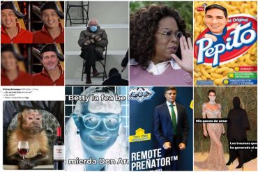 ¡PARA REÍR! Oprah impactada, Bernie Sanders aislado, un mono gracioso, el «gemelo» de Brad Pitt : Los memes por los que recordaremos al año 2021 (+Imágenes)