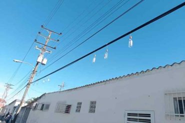 ¡VEA! En Cumaná tienen que poner botellas de vidrios en los cables de Cantv para alertar que están intentando robárselos