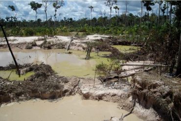 ¡GRAVE! Denuncian que el chavismo ha permitido que el ELN y las FARC destruyen el Amazonas