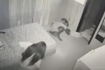 ¡TERRIBLE! Pareja de influencers pierden a su bebé luego de que vivieran una supuesta actividad paranormal (+Video)