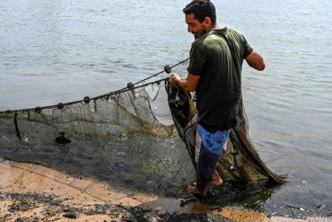 ¡HECHO EN REVOLUCIÓN! La pesca y el procesamiento de camarones está superando a la actividad petrolera en Zulia