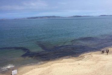 «Ineficiencia o nada»: playas de Lechería cumplen dos semanas cerradas por derrame petrolero