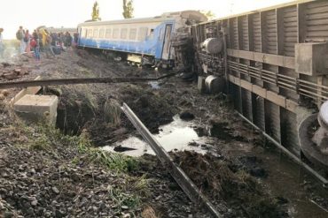 ¡SEPA! Un tren se descarriló en Argentina con 500 pasajeros a bordo: al menos 21 heridos (+Video)