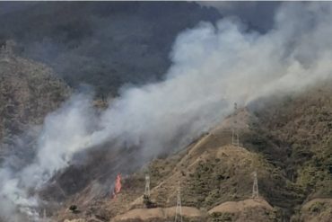 ¡LAMENTABLE! Un incendio forestal se registró este #30Mar en el Ávila a la altura de San Bernardino (+Videos)