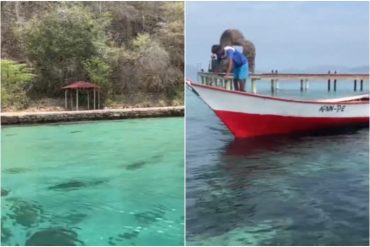 ¡TERRIBLE! Alertan de una especie invasora en las aguas turquesas del Parque Nacional Mochima en Venezuela