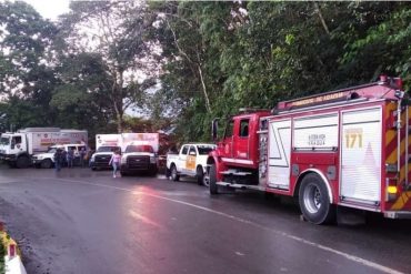 ¡LAMENTABLE! Dos muertos y dos heridos en accidente de tránsito en curva de la carretera hacia Ocumare de la Costa: el vehículo se fue al vacío (+Video)